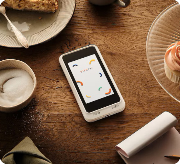 The Advantages and Disadvantages of Shopify